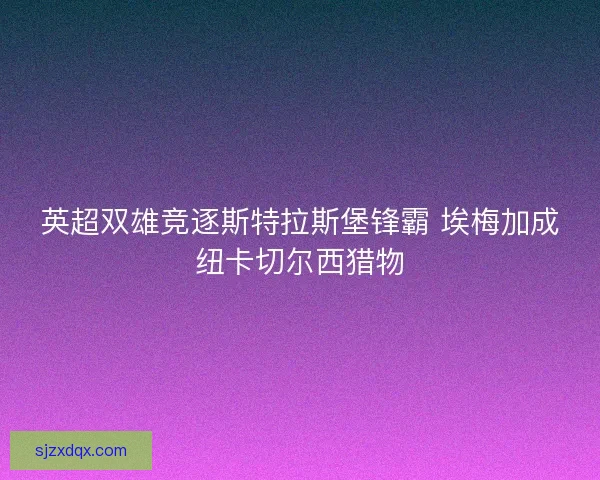 英超双雄竞逐斯特拉斯堡锋霸 埃梅加成纽卡切尔西猎物
